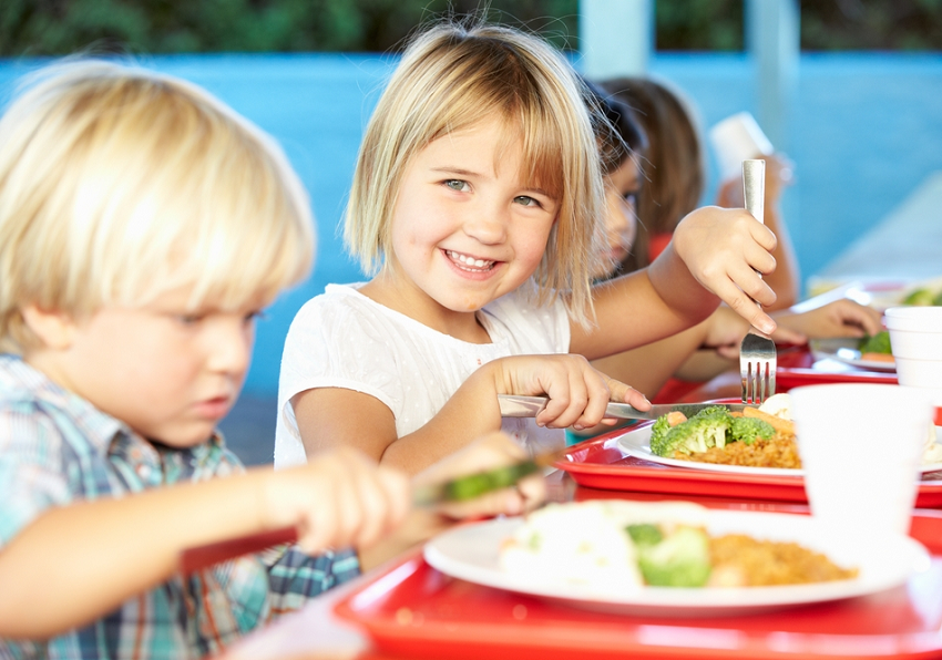 actividades del plato del bien comer aprendiendo a nutrirse