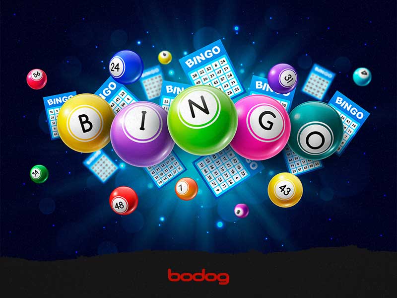 Bingo 1º ESO: Aprende Divirtiéndote en Clase con Este Juego
