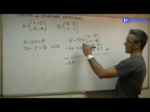 Buscas ejercicios de matrices resueltos para 2º Bachillerato