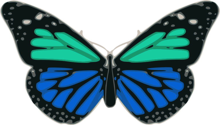 Butterfly Curve: El Fascinante Mundo de las Butterfly Curves