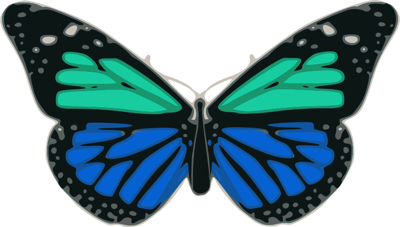 butterfly curve el fascinante mundo de las butterfly curves