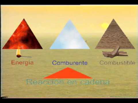 Características del tetraedro: altura y dibujos explicativos