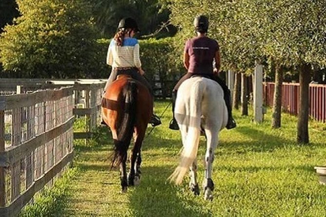 Clases de equitación cerca de mí: Aprende a montar a caballo
