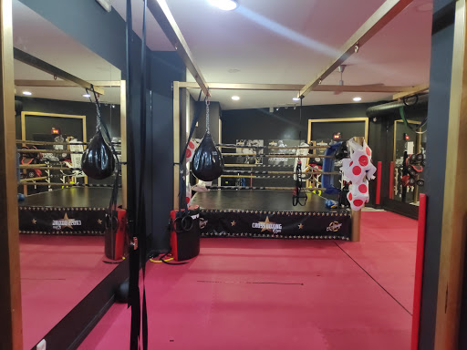 Clases de MMA en Madrid: ¡1ra clase GRATIS cerca de ti! ❤️