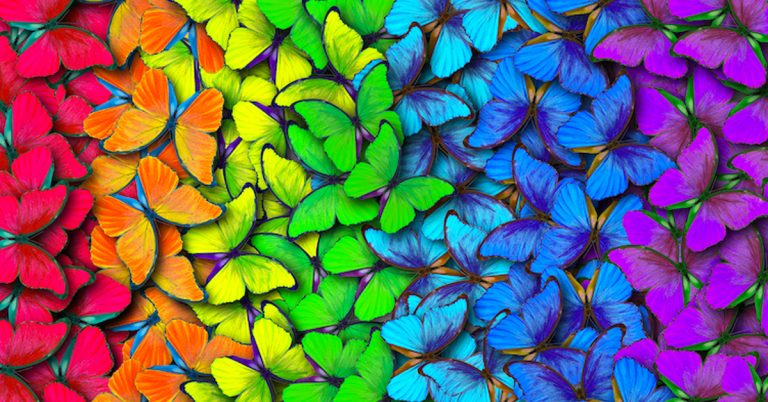 Colors complementaris: Cómo utilizarlos en el diseño y arte