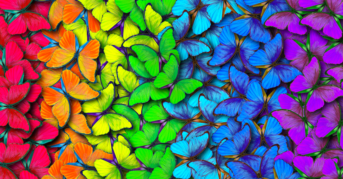 colors complementaris como utilizarlos en el diseno y arte