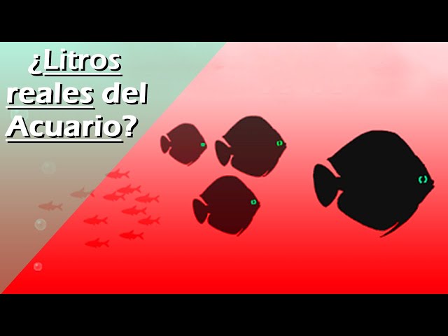 Cómo calcular el volumen de una pecera con una calculadora de litros