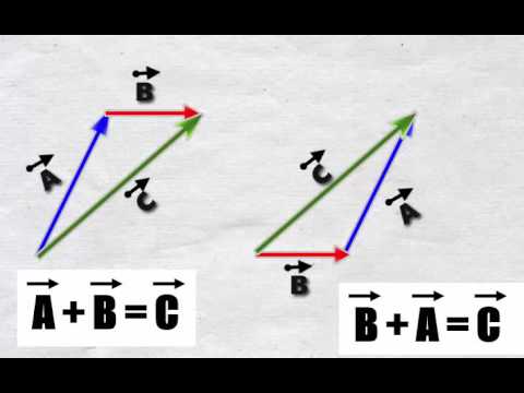 Componente física: Explorando los componentes de un vector