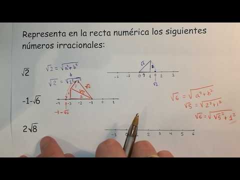 Raíz Cuadrada y Raíz Cúbica: Conceptos y Ejemplos Clave