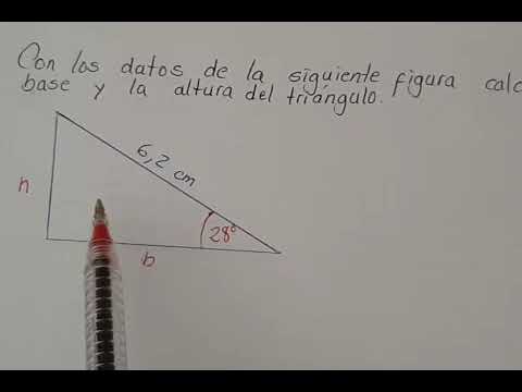 Cómo se calcula la altura de un triángulo rectángulo
