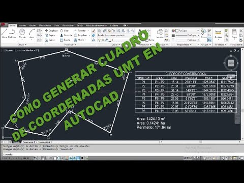 Cómo se insertan puntos en un sistema de coordenadas en línea