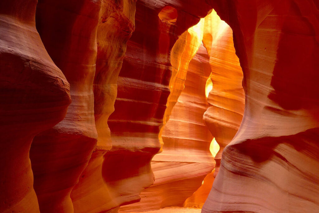 Cómo se manifiestan las formas geométricas en la naturaleza