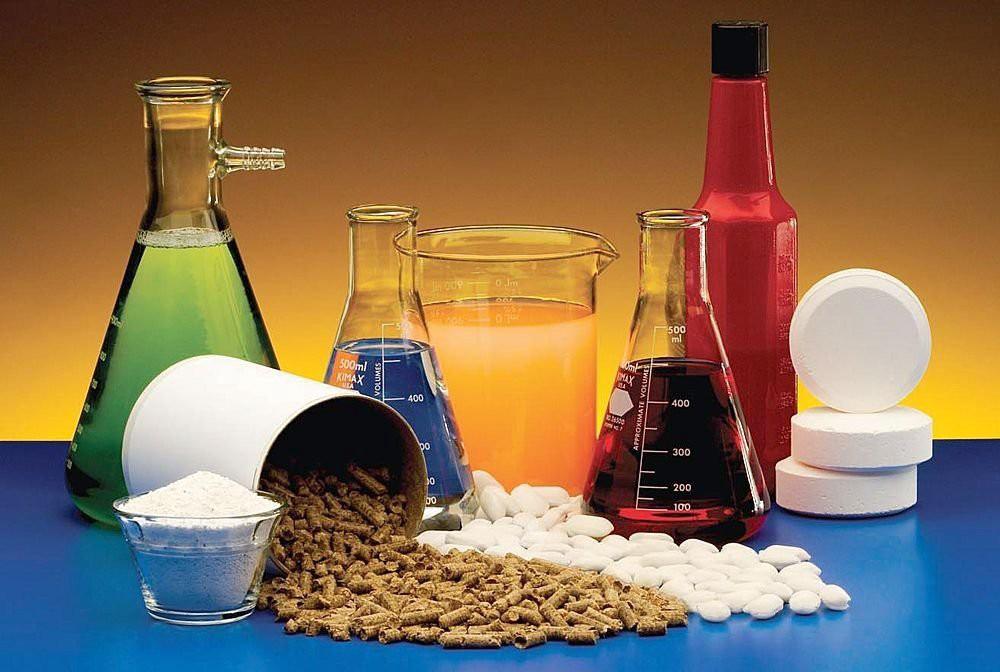 Cuál es la historia y evolución de la química en los alimentos