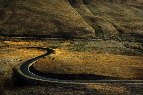 Cuál es la importancia de la tangente y el círculo de curvatura