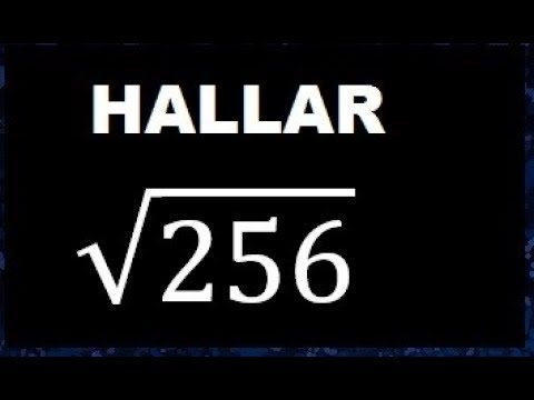 Cuál es la raíz cuadrada de 250 y sus propiedades matemáticas