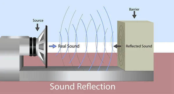 Cuáles son las diferencias clave entre onda longitudinal y transversal