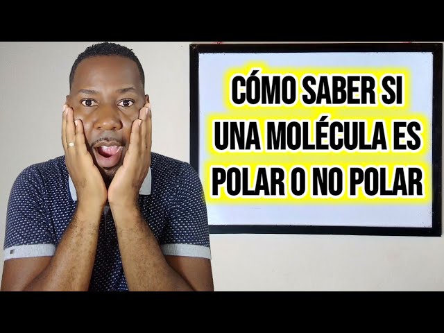 Cuáles son las diferencias entre puntos polares y no polares