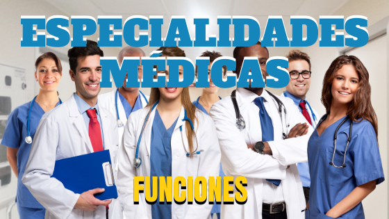 Cuáles son las especialidades médicas y sus características clave