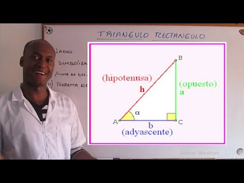 Cuáles son las partes y elementos del triángulo rectángulo