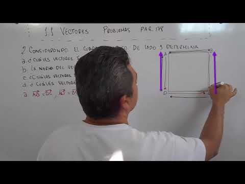 Cuáles son los ejercicios de vectores para 1º de Bachillerato
