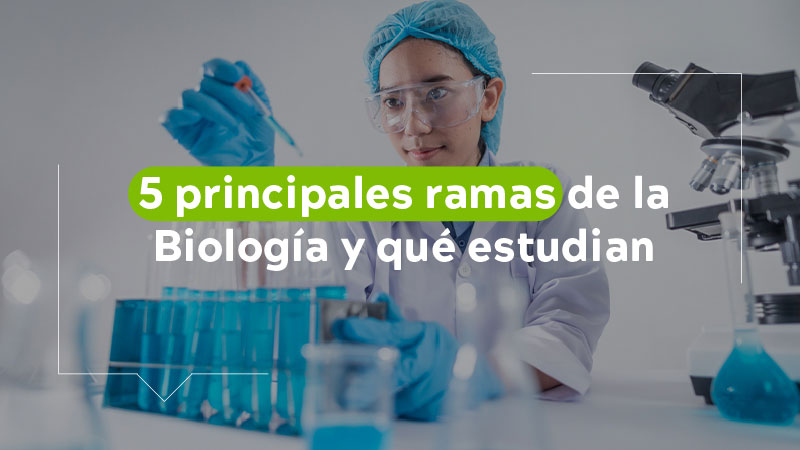 Cuáles son los tipos de biólogos y su impacto en la biología