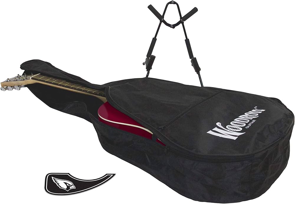Cuánto cuesta una guitarra Precios y consejos para comprar