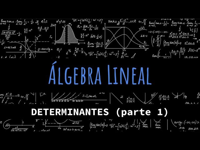 Determinantes matemáticas: qué es y su uso en álgebra