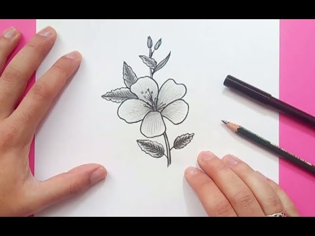 Dibujar flores: cómo dibujar flores paso a paso fácilmente