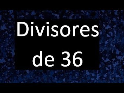 Divisores de 1 a 100: Encuentra Todos los Divisores Aquí