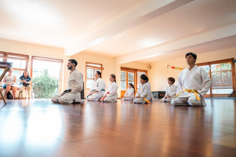 Artes Marciales Cerca de Mi: Clases Particulares para Todos