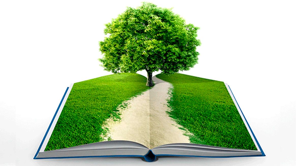 Dónde Estudiar Ecología: Opciones y Programas Disponibles