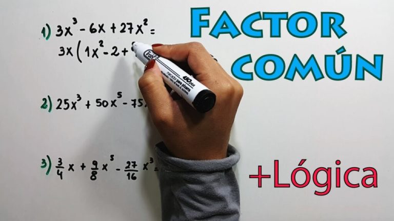 Ejercicios de factorización: Polinomios resueltos en PDF