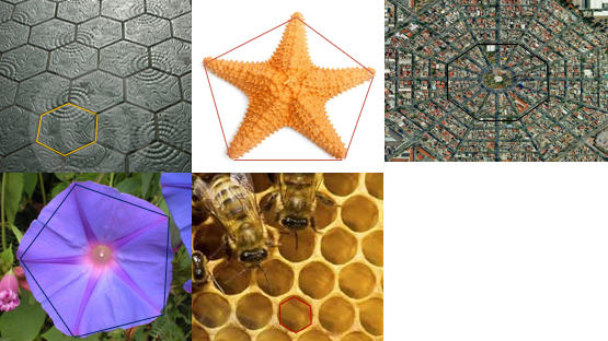 Eje de simetría de un hexágono: claves para entenderlo