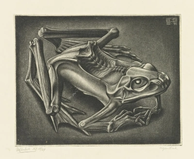 Escher Tessellation: Explorando la Fascinante Lizard