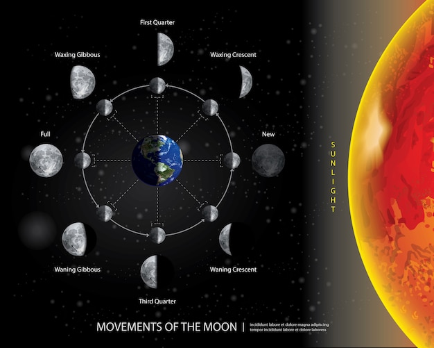 Fases de la Luna Animadas: Esquema de las 8 Fases Lunares