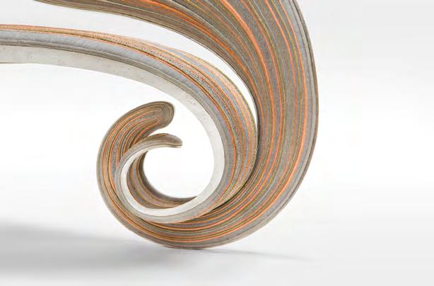 Fibonacci-Schnecke: La Belleza Matemática en la Naturaleza