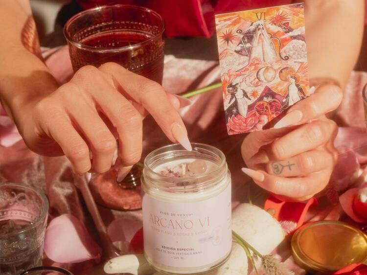 Flor de Venus: Descubre su belleza y significado asombroso