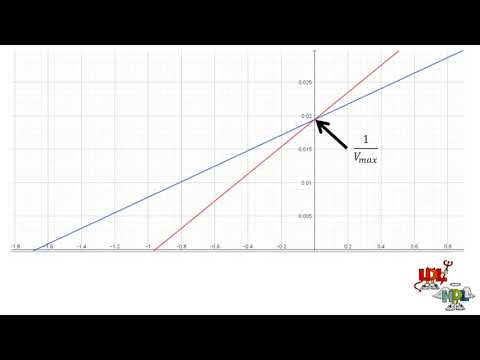 Importancia del Diagrama de Lineweaver-Burk en Cinética Enzimática
