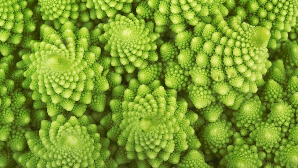Mandelbrot Test: Explorando Números Complejos en el Conjunto