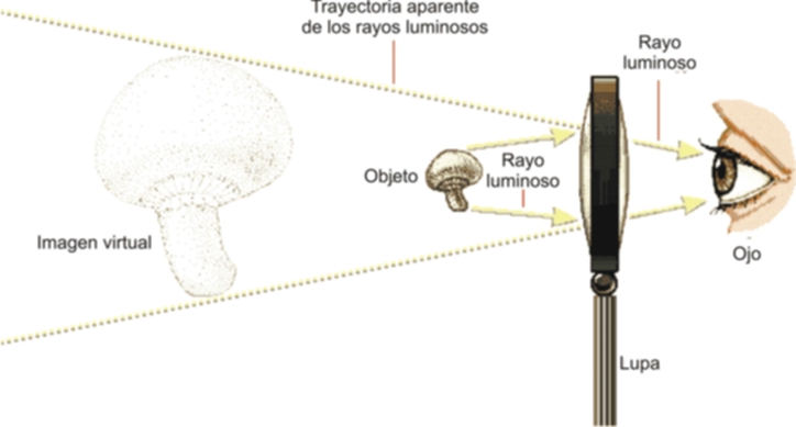 Óptica Geométrica: Diferencias entre Lente Cóncavo y Convexo