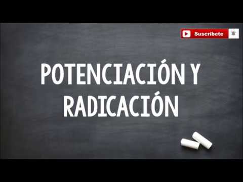 Perímetro y Área de Cuadriláteros: Taller #7 para Aprender
