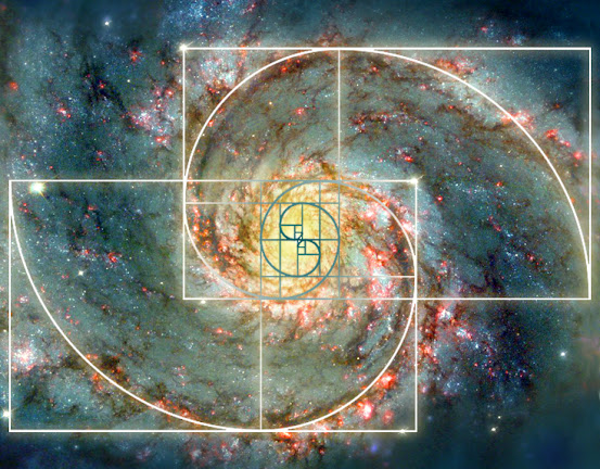 puede la espiral de raices revelar la belleza de los espirales pitagoricos