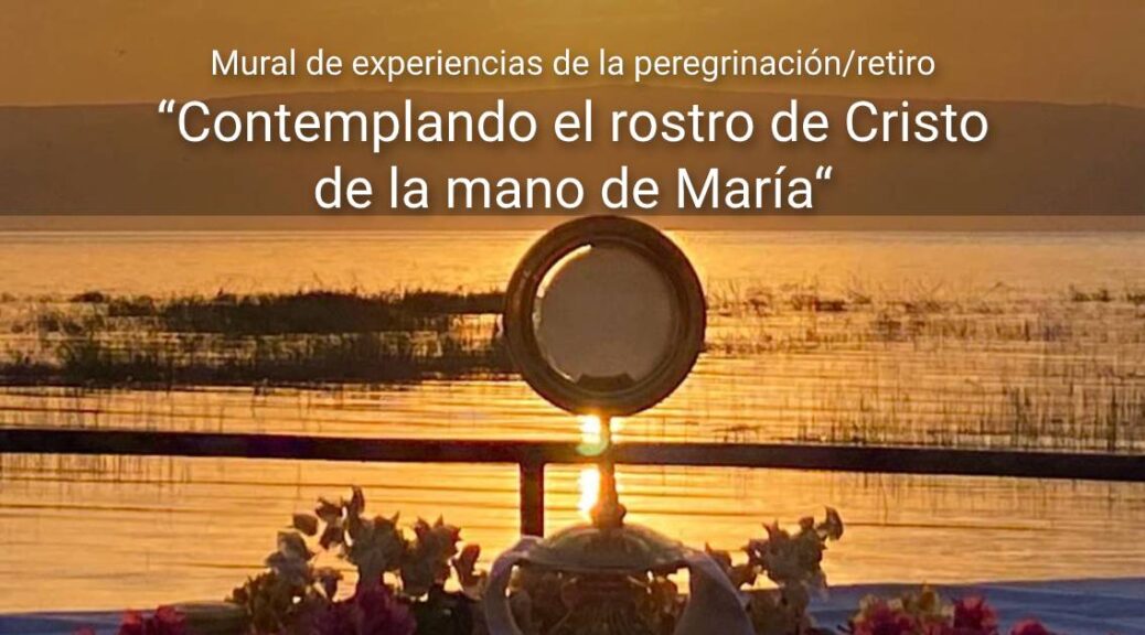 Qué es la logística y cómo se explica la parabola de forma sencilla