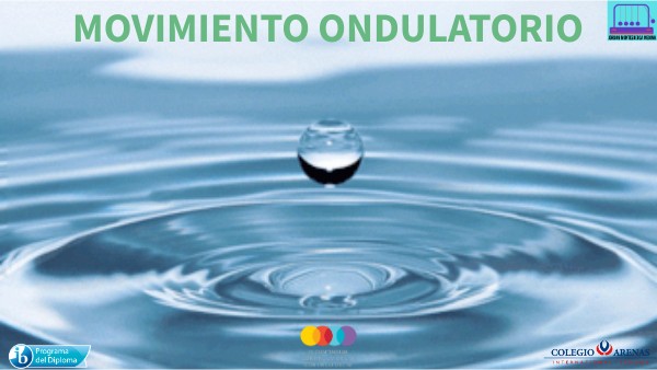 Qué es la reflexión de pulso y cómo se comporta en un extremo libre