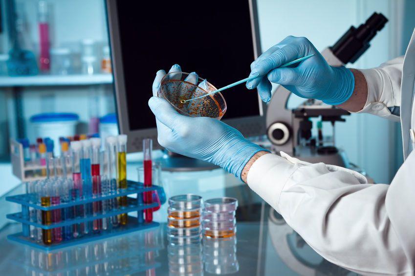 Qué implica ser microbiólogo y cuáles son sus estudios y trabajo