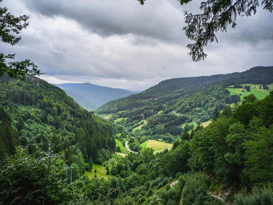 Qué rutas y senderos imperdibles existen en las montañas de Alemania