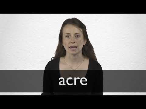 que significa acre definicion y explicacion del termino