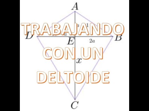Qué son Deltoides, Trapecios y Rombos en Geometría