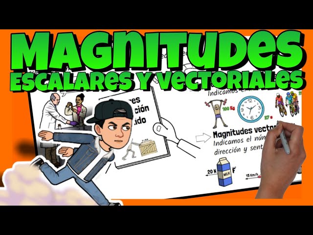 Qué son las magnitudes escalares y vectoriales en física