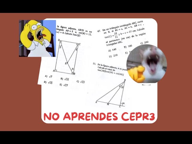 Qué son los ángulos verticales y cómo estudiar sus teoremas